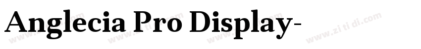 Anglecia Pro Display字体转换